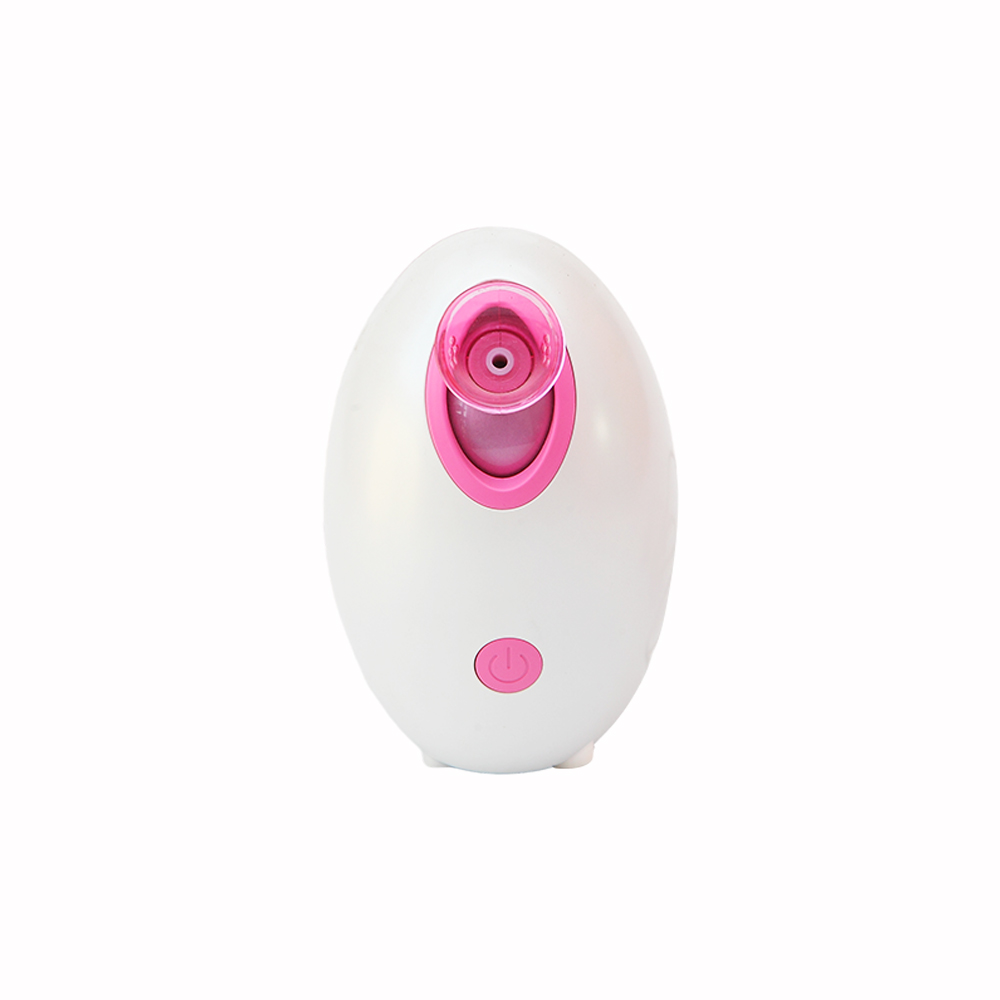Face Steamer