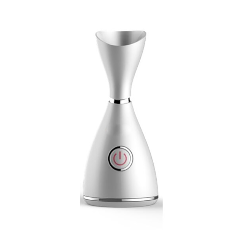 Face Steamer