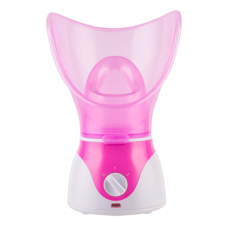 Face Steamer